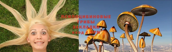 ПСИЛОЦИБИНОВЫЕ ГРИБЫ Аркадак