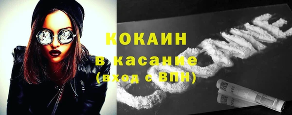 ПСИЛОЦИБИНОВЫЕ ГРИБЫ Аркадак