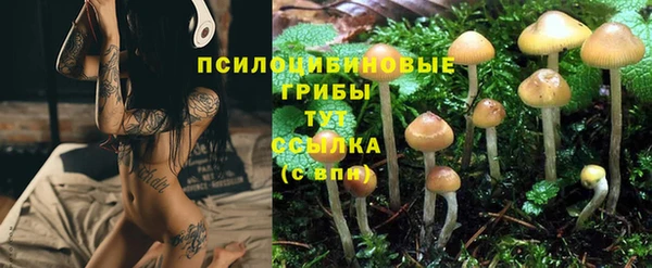 ПСИЛОЦИБИНОВЫЕ ГРИБЫ Аркадак
